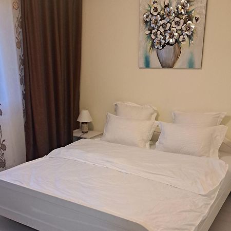 Apartament Teo 雅西 客房 照片