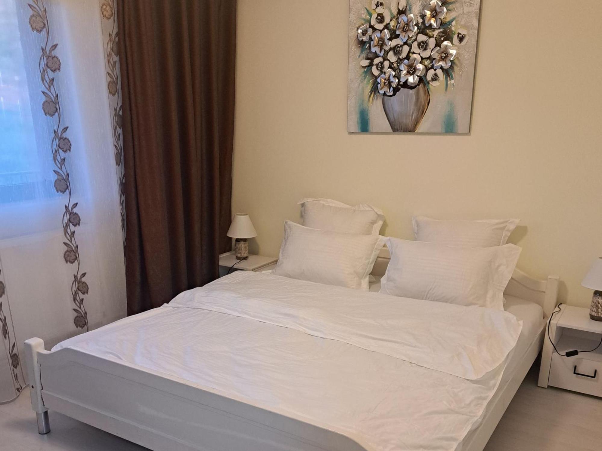 Apartament Teo 雅西 客房 照片